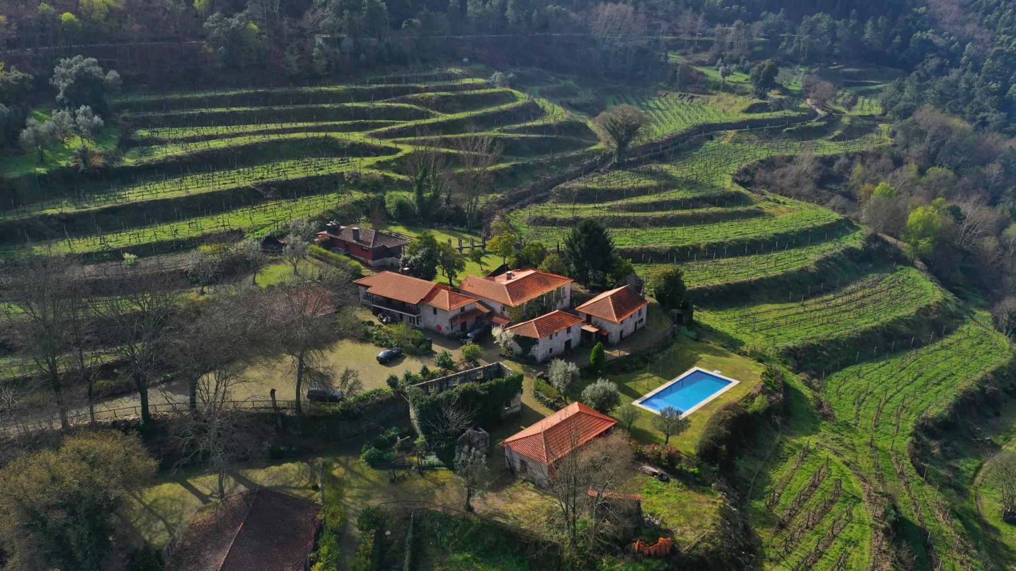 Quinta Da Pousadela - Agroturismo Amarante Exterior photo