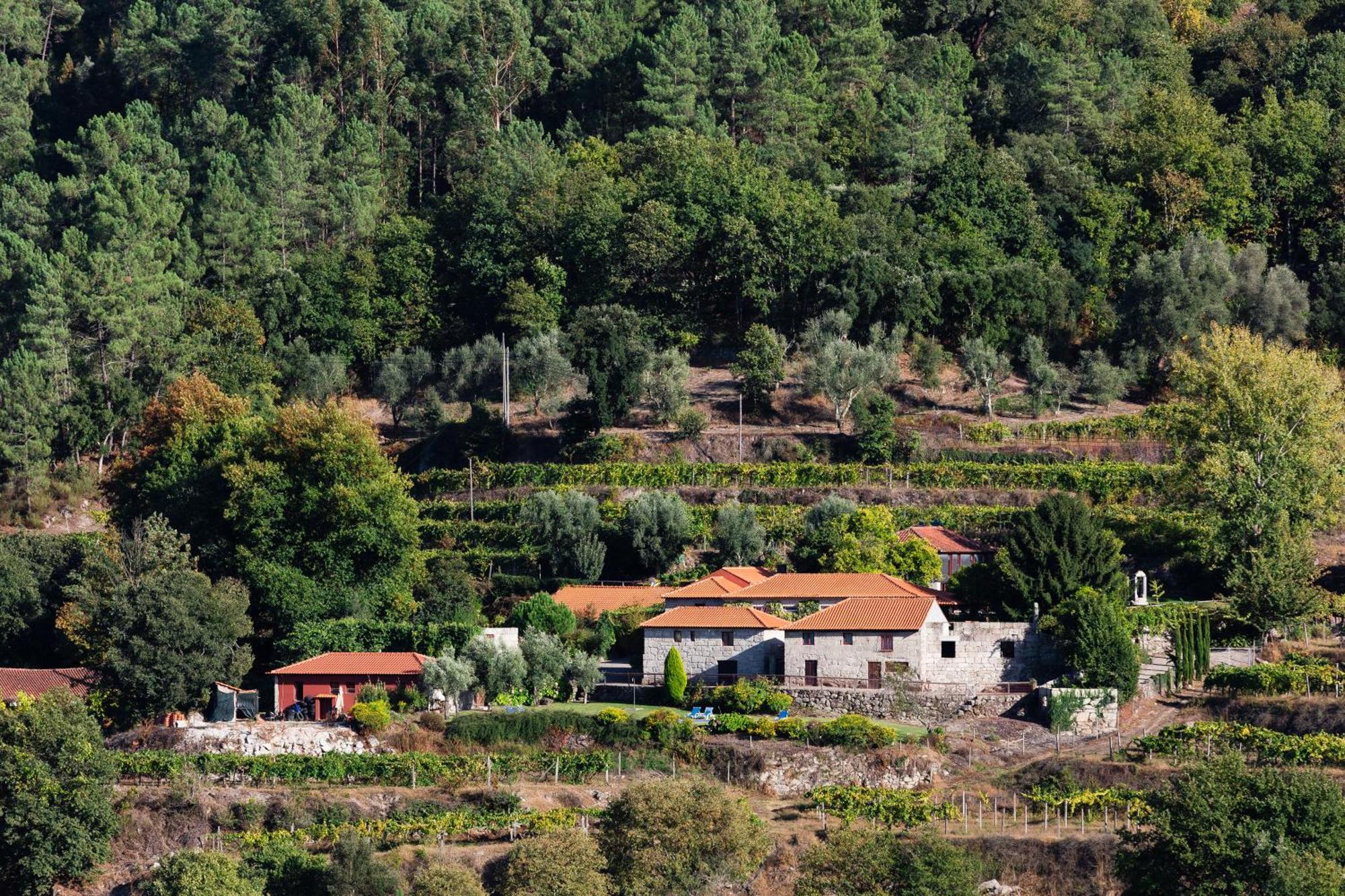 Quinta Da Pousadela - Agroturismo Amarante Exterior photo