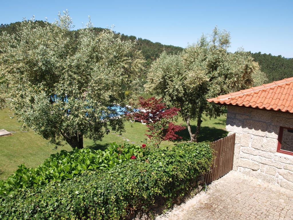 Quinta Da Pousadela - Agroturismo Amarante Exterior photo