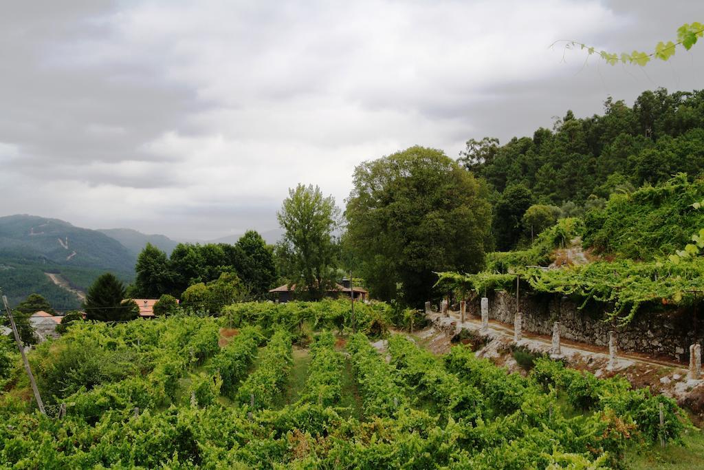 Quinta Da Pousadela - Agroturismo Amarante Exterior photo