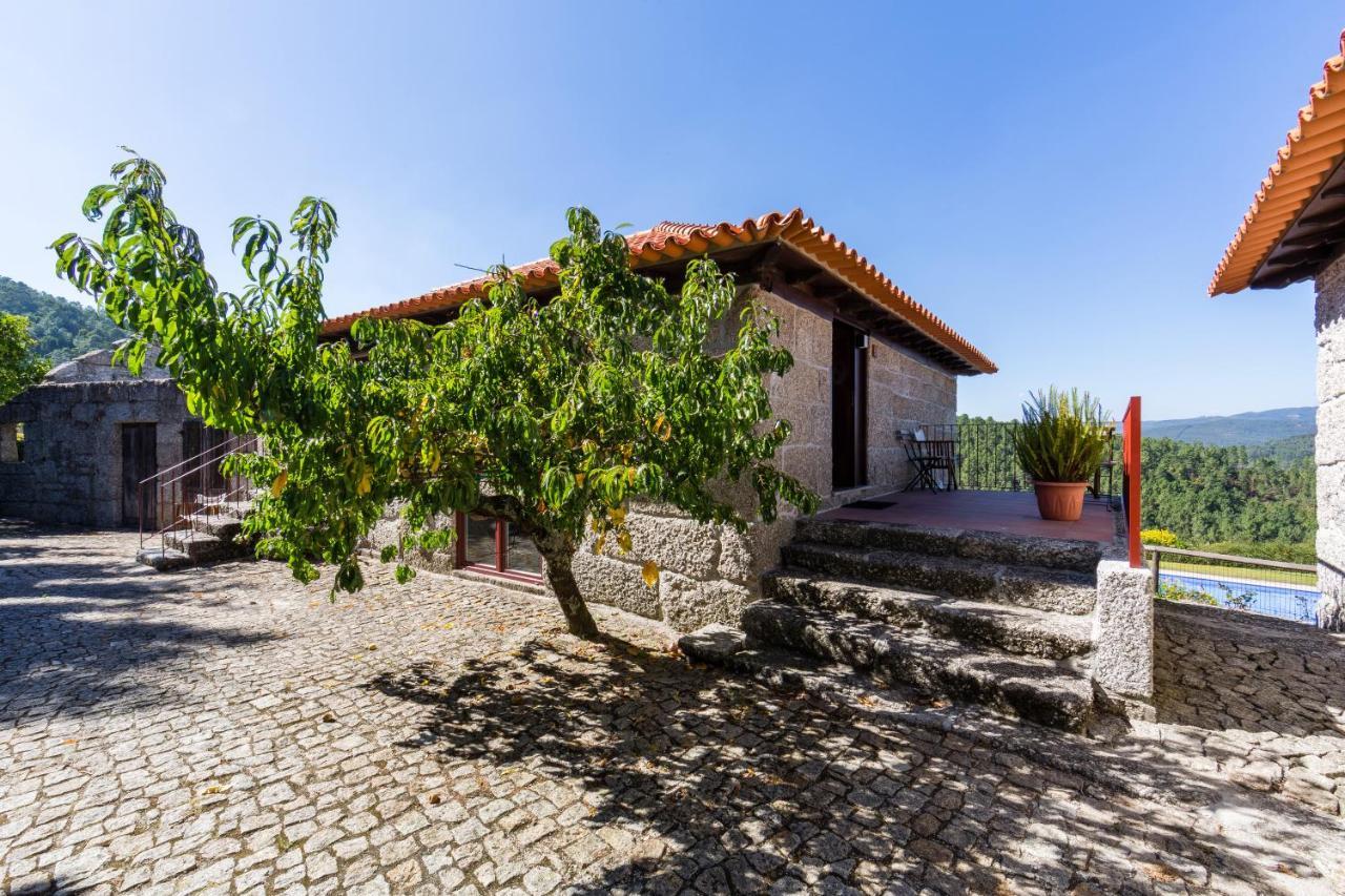 Quinta Da Pousadela - Agroturismo Amarante Exterior photo